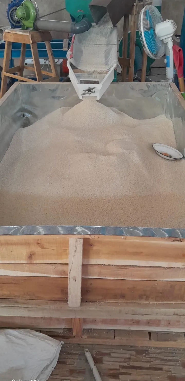 Beras mengalir dari corong mesin ke bak penampung